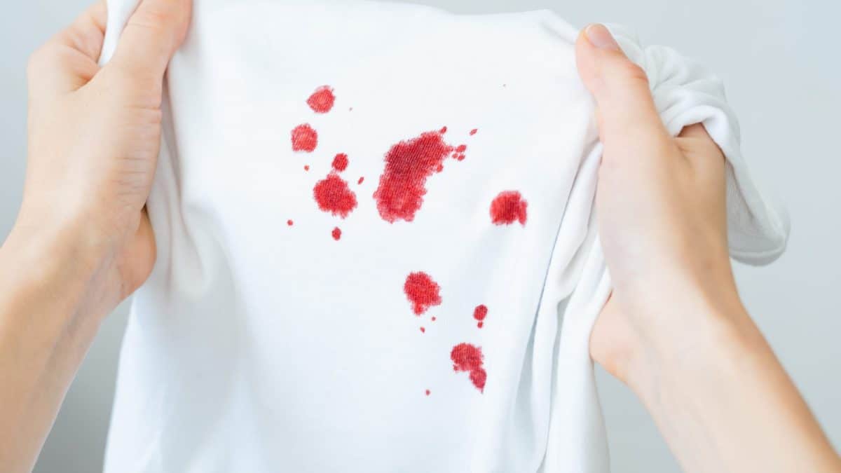 Hands holding up a white cotton T-shirt spotted with several fresh red blood stains