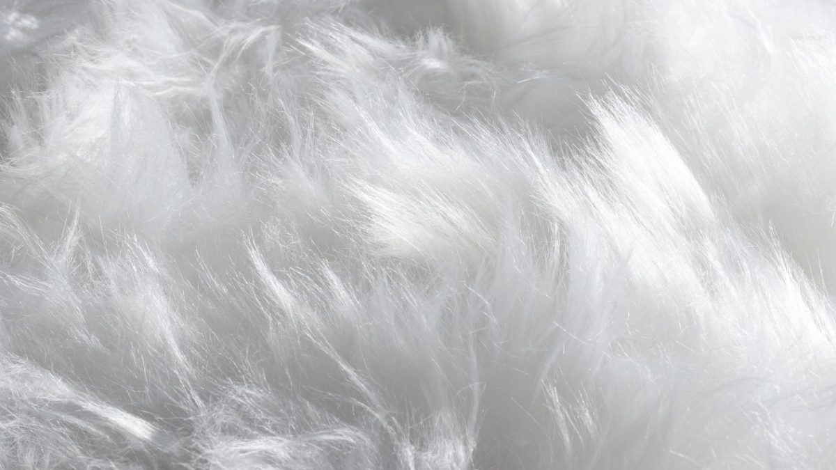 Macro view of soft white down clusters, the loose fill sealed inside a comforter