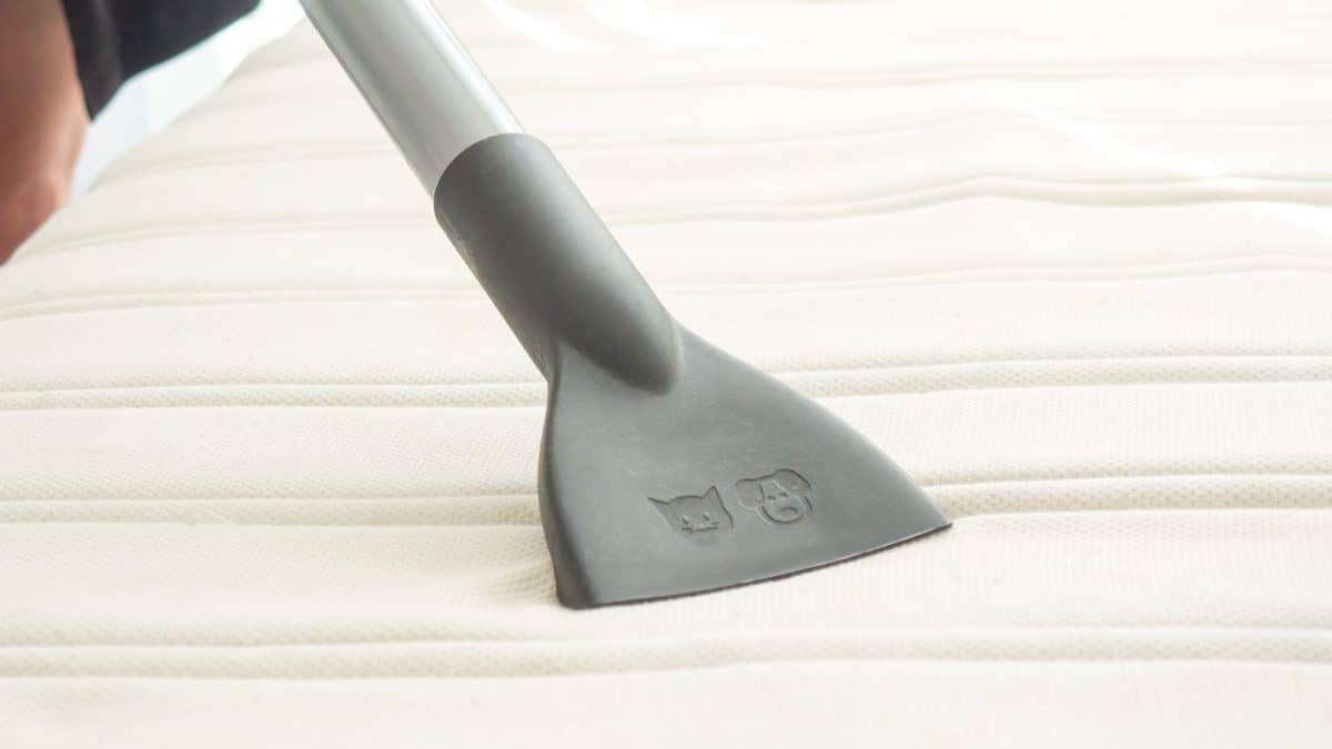 Grey upholstery vacuum nozzle pressed into the quilted surface of a stripped white mattress