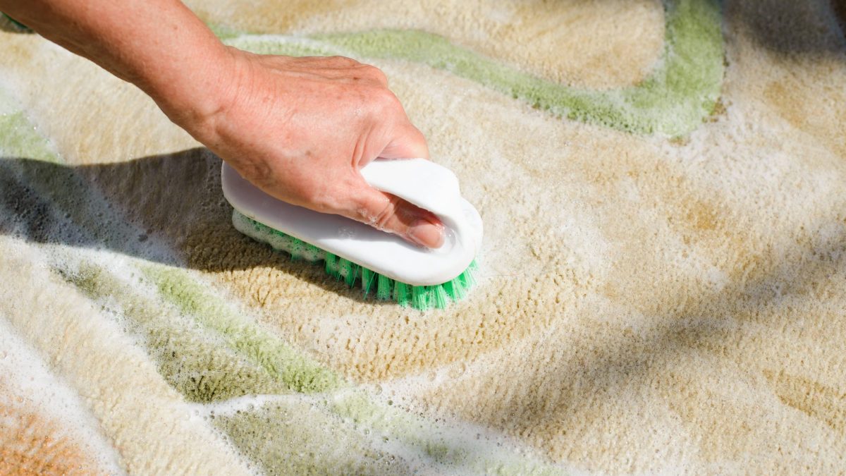 A hand scrubbing detergent foam into a damp rug using a stiff bristled brush