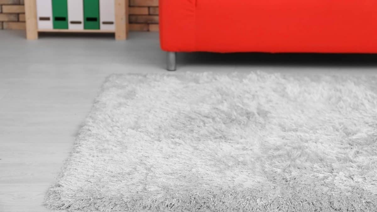 A thick pale rug spread across the floor of a bright, furnished living room