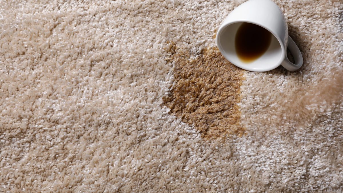 Coffee spilled from an overturned cup on a beige carpet