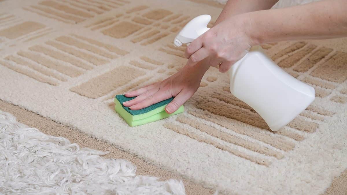 Hands spraying cleaning solution on a beige patterned rug and pressing a sponge into the pile