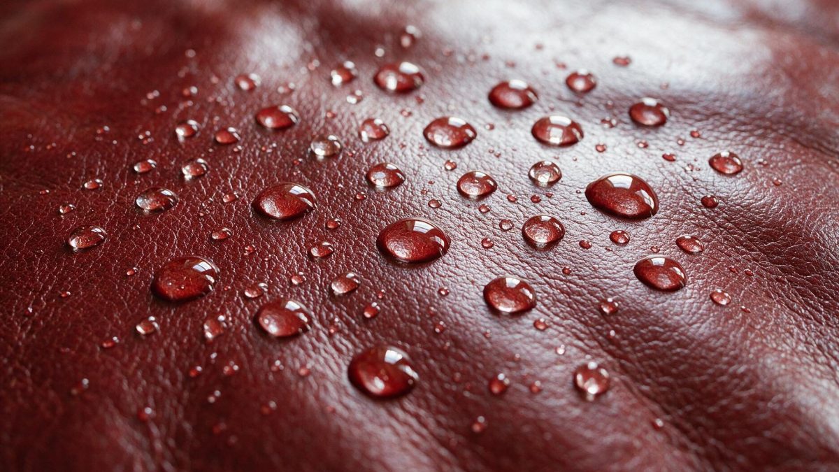 Close-up of water droplets beading on the surface of dark red leather
