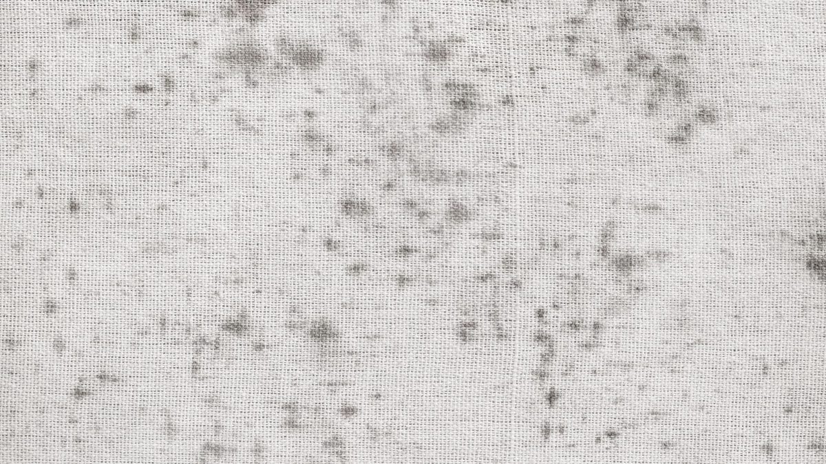 Close-up of white cotton fabric covered in scattered grey and black mold spots