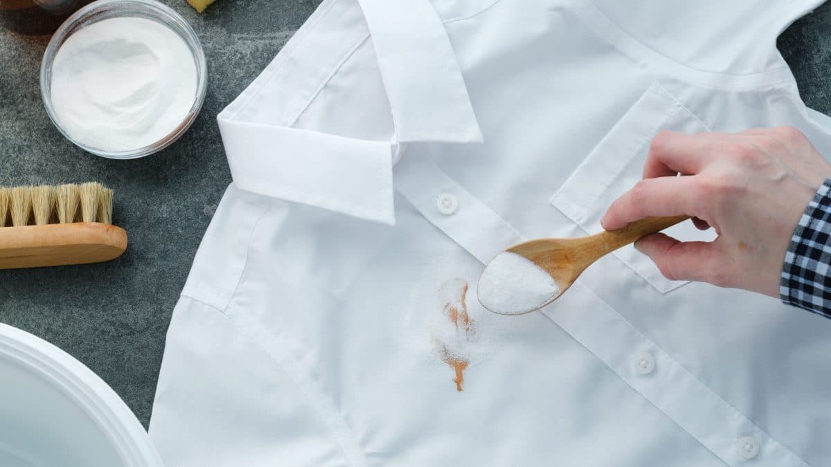 Hand spooning white stain remover powder onto a brown stain on a white shirt