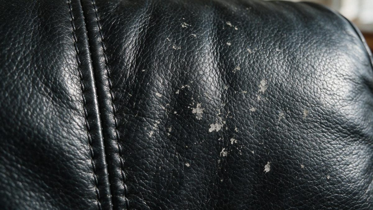 Close-up of black leather with pale scuffs where the finish has been rubbed off