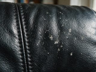 How to Clean Stains Off Leather